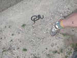 IMG_20260702_133448002.jpg
