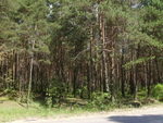 PICT0154.JPG