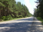 PICT0155.JPG