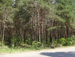 PICT0156.JPG