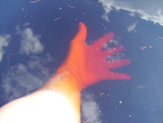 PICT0167.JPG