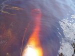 PICT0171.JPG