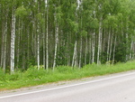 PICT0183.JPG