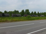 PICT0184.JPG